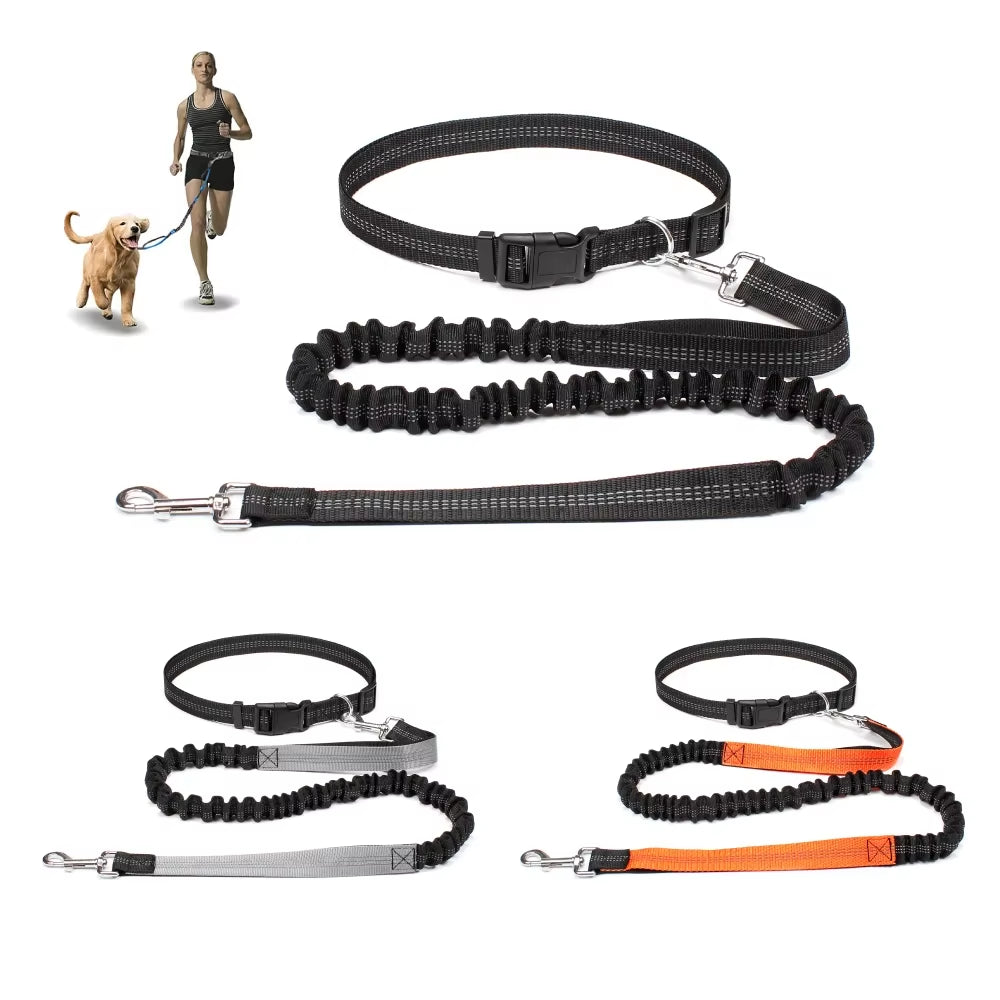 Dog Running Leash with Waist Belt – Durable Hands Free Pet Accessory