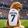 Summer Dog Clothes Spain Brazil Germany Print Basketball Clothes Puppy T-Shirt Summer Pet Cat Shirts for Soccer Fans Dogs