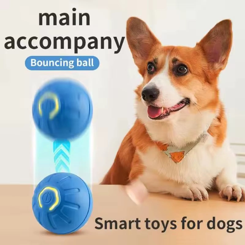 Smart Dog Toy Ball USB Rechargeable