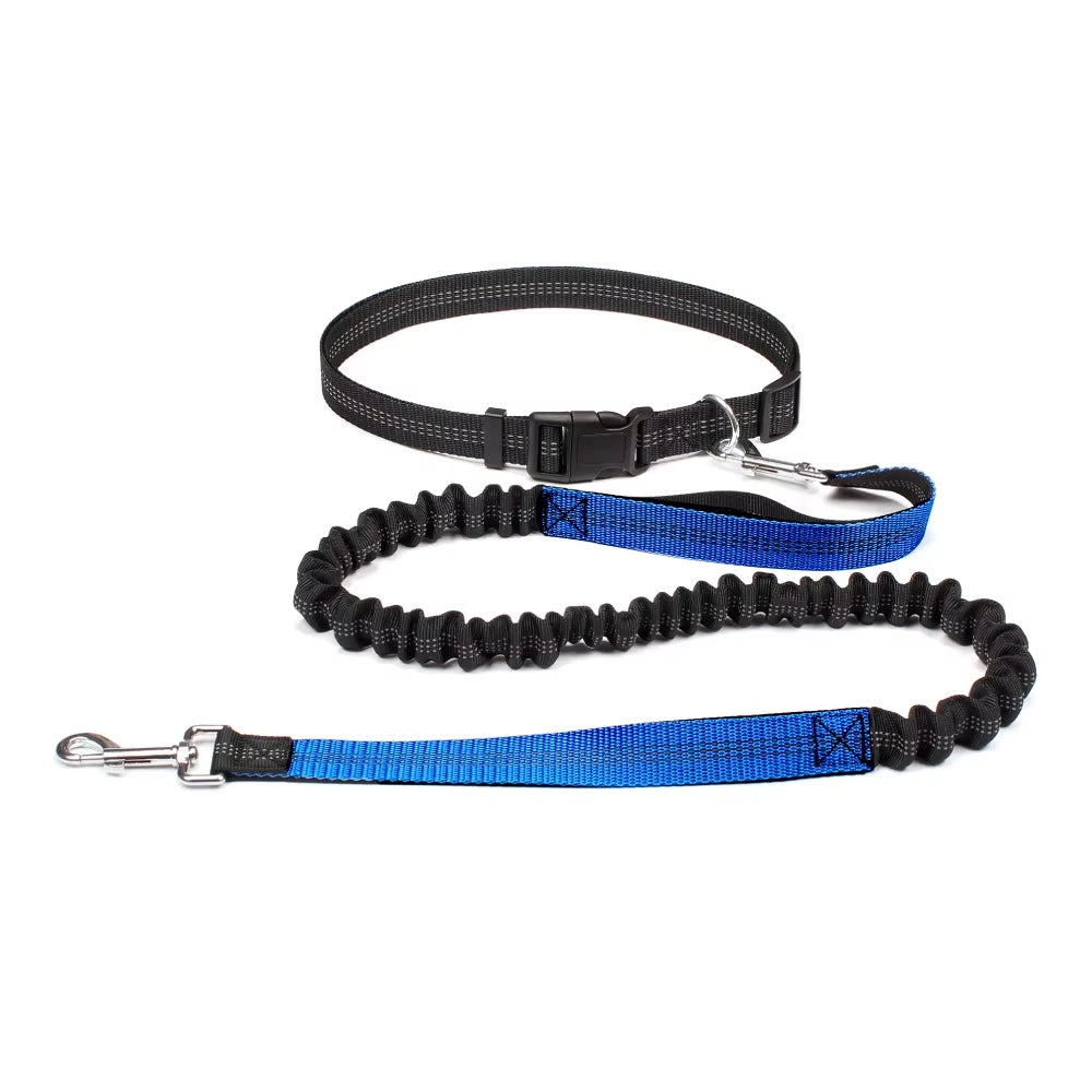 Dog Running Leash with Waist Belt – Durable Hands Free Pet Accessory