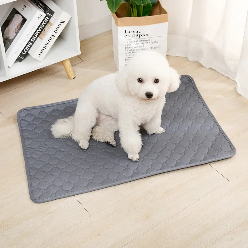 Reusable Dog Pee Pad Blanket – Washable Absorbent Puppy Training Mat & Pet Seat Cover