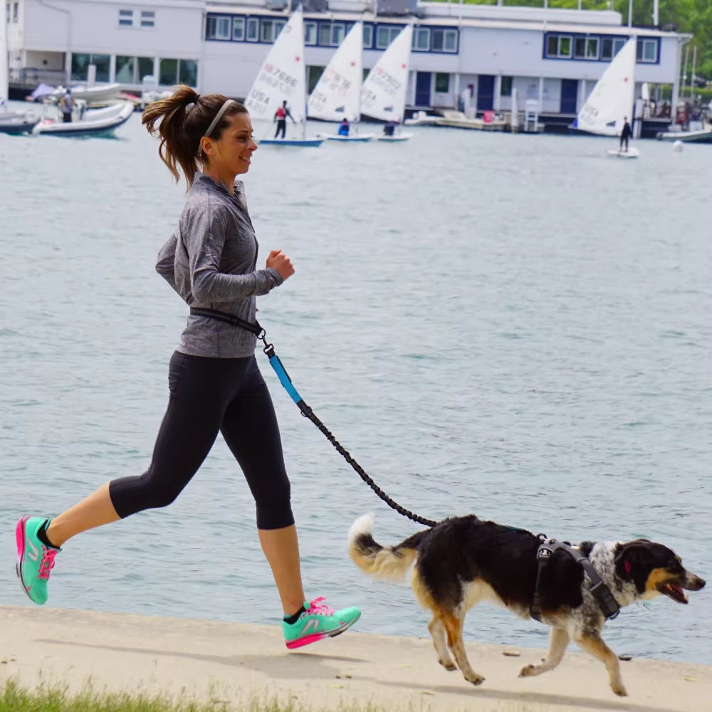 Dog Running Leash with Waist Belt – Durable Hands Free Pet Accessory
