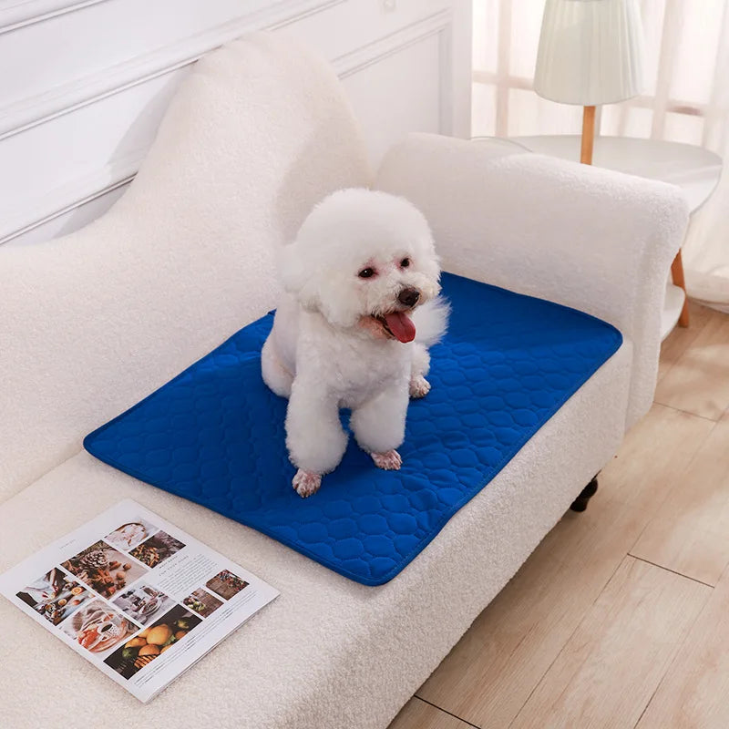 Reusable Dog Pee Pad Blanket – Washable Absorbent Puppy Training Mat & Pet Seat Cover