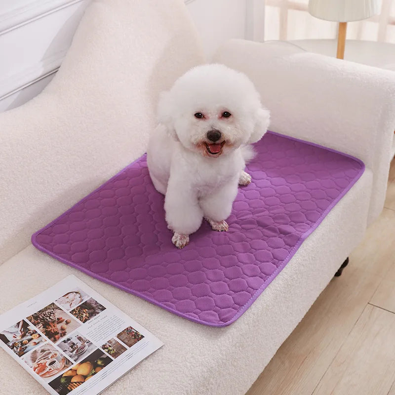 Reusable Dog Pee Pad Blanket – Washable Absorbent Puppy Training Mat & Pet Seat Cover