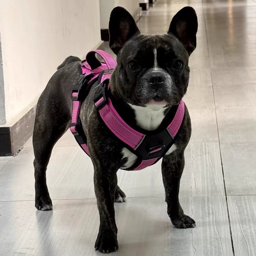 Strong Dog Harness Vest for Medium & Large Breeds – Comfortable & Secure Fit