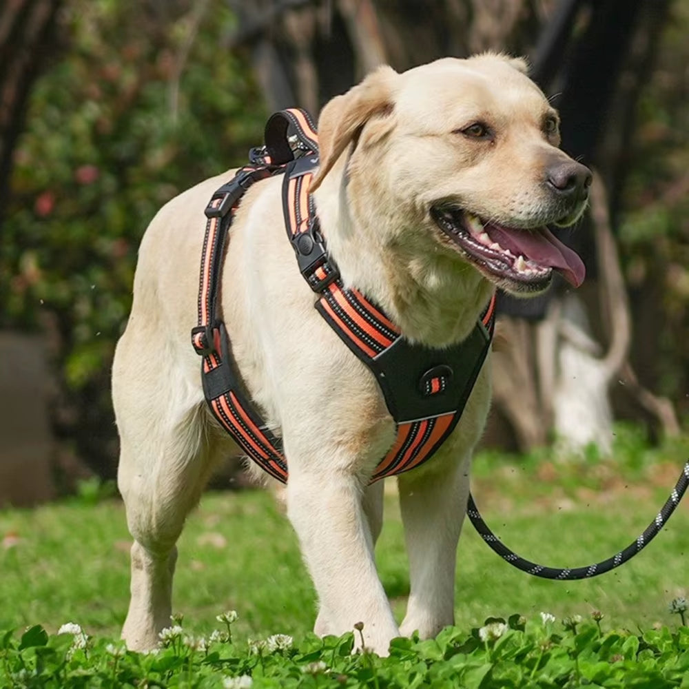 Strong Dog Harness Vest for Medium & Large Breeds – Comfortable & Secure Fit