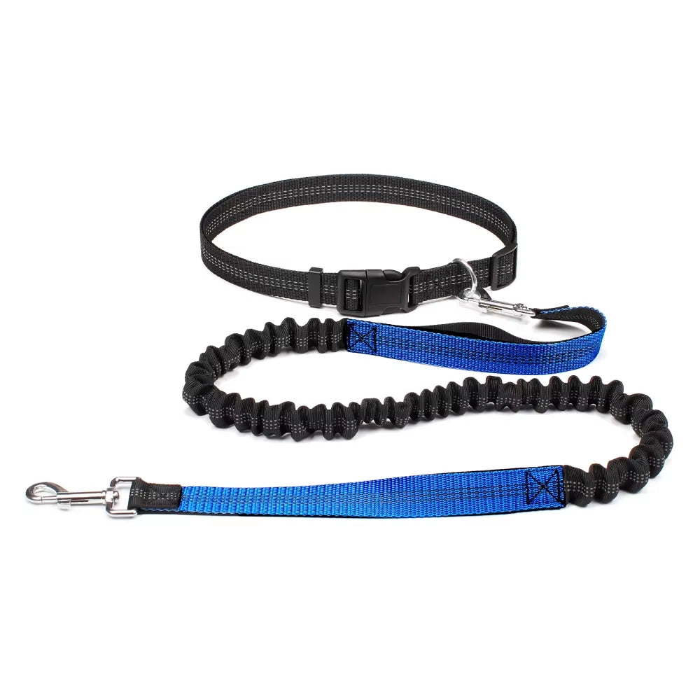 Dog Running Leash with Waist Belt – Durable Hands Free Pet Accessory