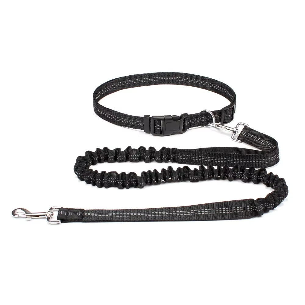Dog Running Leash with Waist Belt – Durable Hands Free Pet Accessory