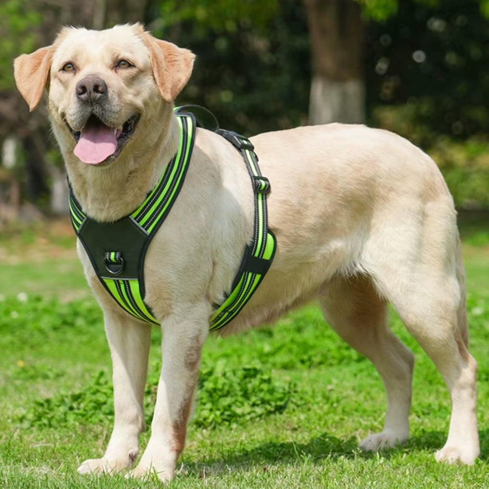 Strong Dog Harness Vest for Medium & Large Breeds – Comfortable & Secure Fit
