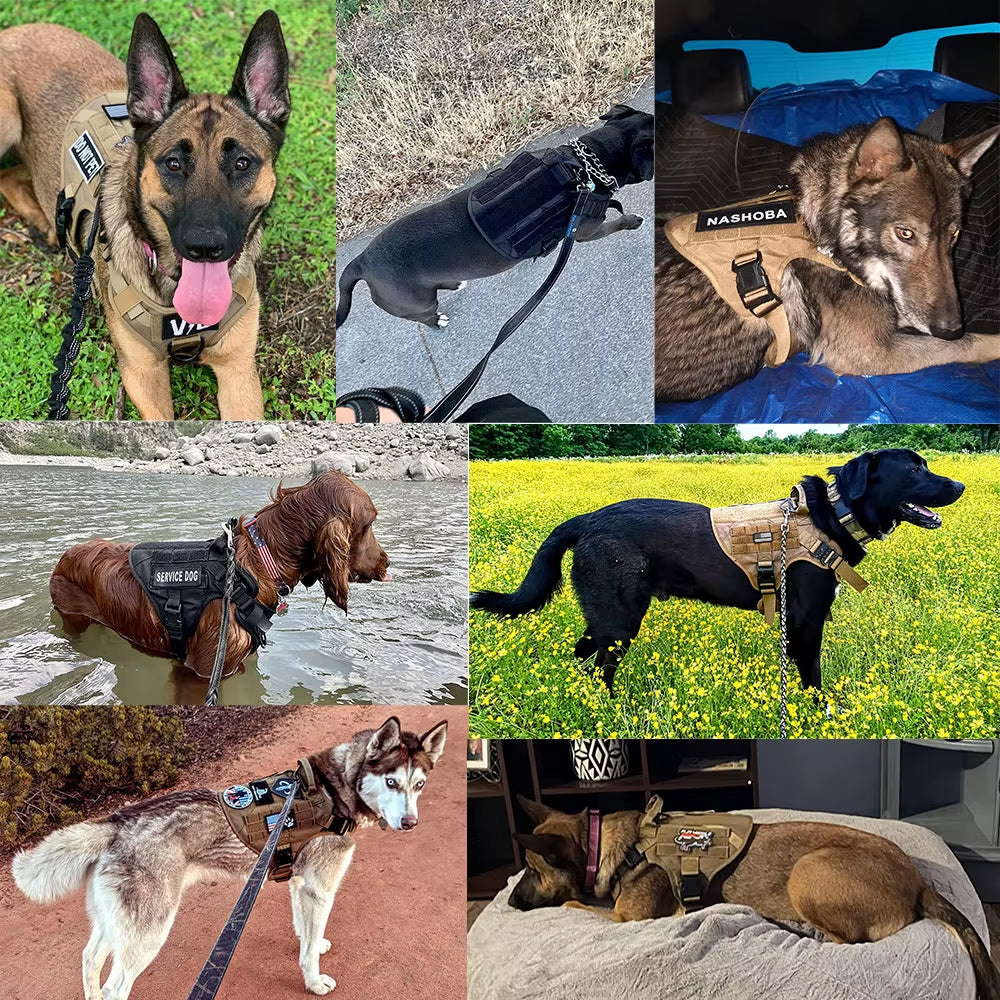 Military Tactical Dog Harness – Heavy Duty Training Vest for Large Dogs