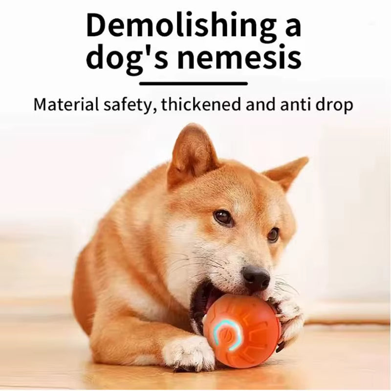 Smart Dog Toy Ball USB Rechargeable