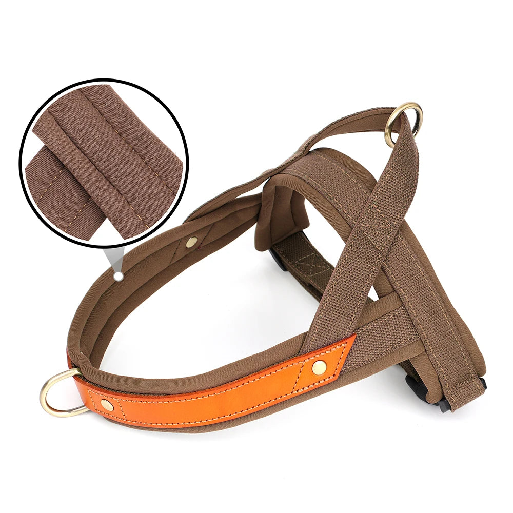 All-Size No Pull Dog Harness – Soft Padded Vest for Bulldogs & Other Breeds