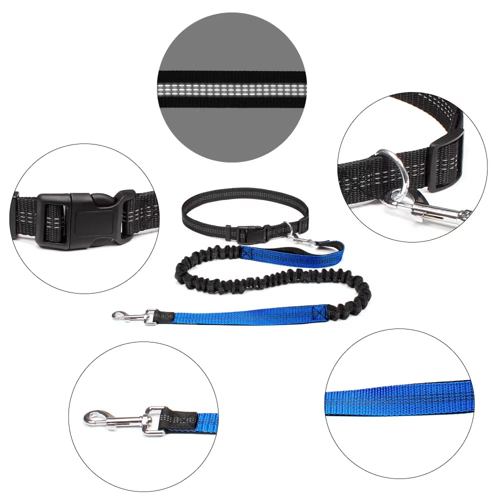 Dog Running Leash with Waist Belt – Durable Hands Free Pet Accessory