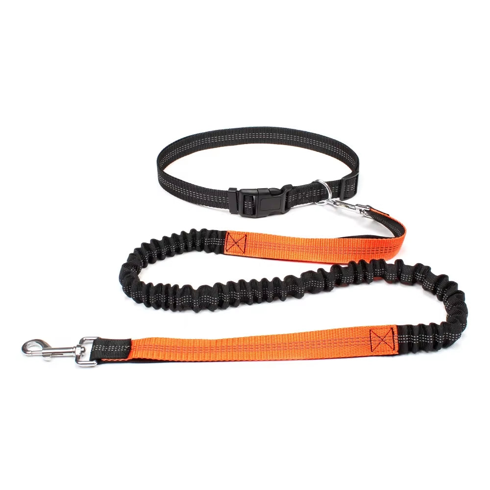 Dog Running Leash with Waist Belt – Durable Hands Free Pet Accessory