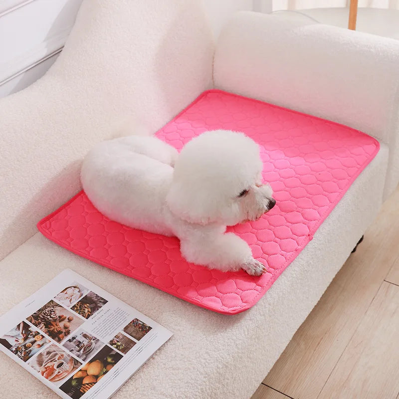 Reusable Dog Pee Pad Blanket – Washable Absorbent Puppy Training Mat & Pet Seat Cover