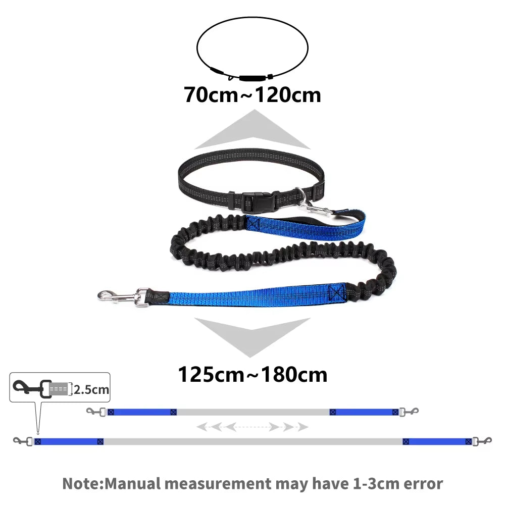 Dog Running Leash with Waist Belt – Durable Hands Free Pet Accessory